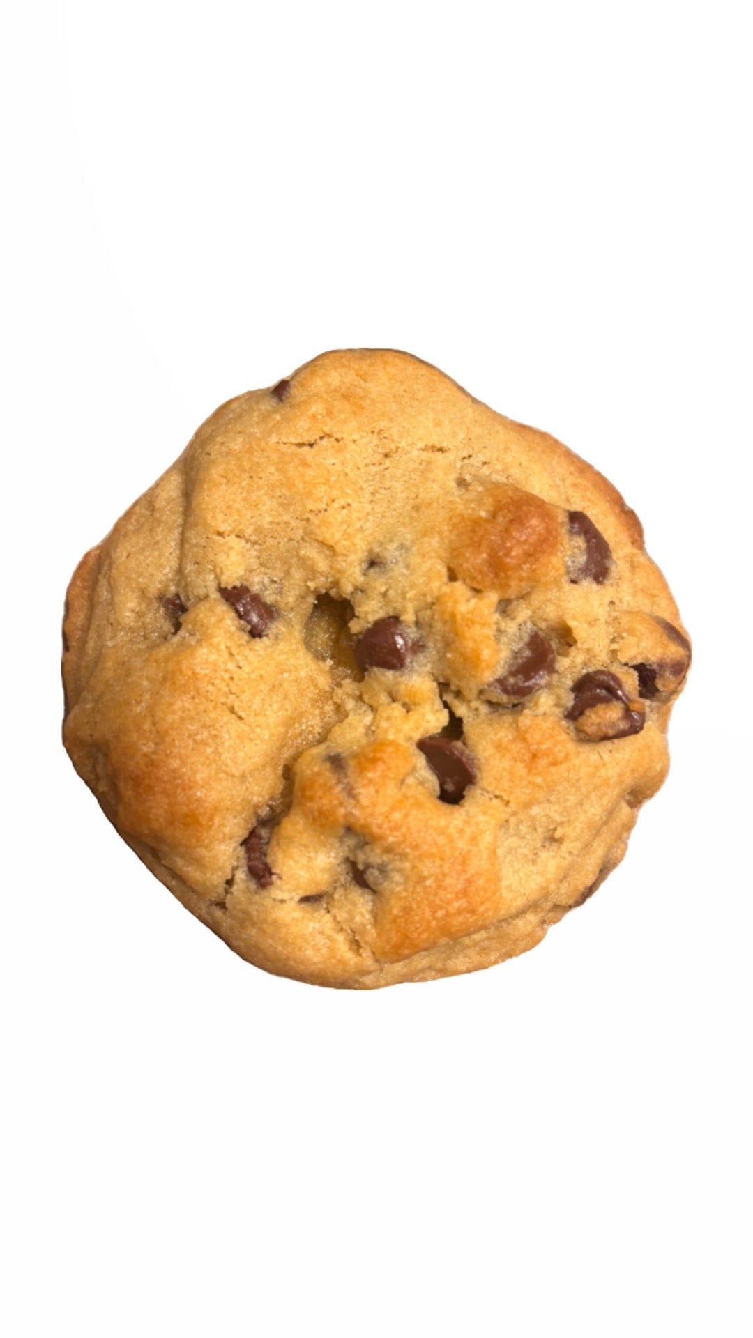 Classic Chocolate Chip