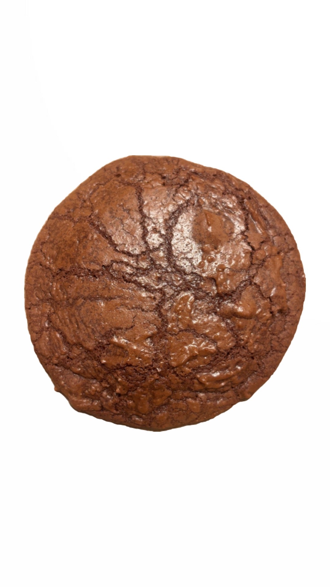Double Chocolate Fudge Brownie